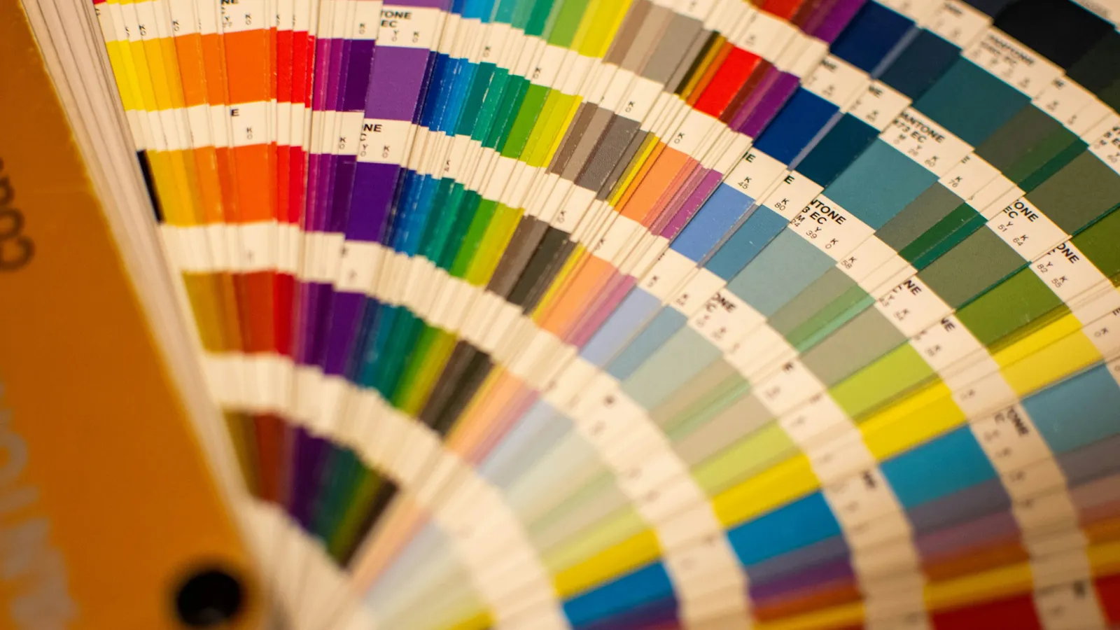 A close-up of a Pantone colour chart, the colours that anchor a coaching brand kit