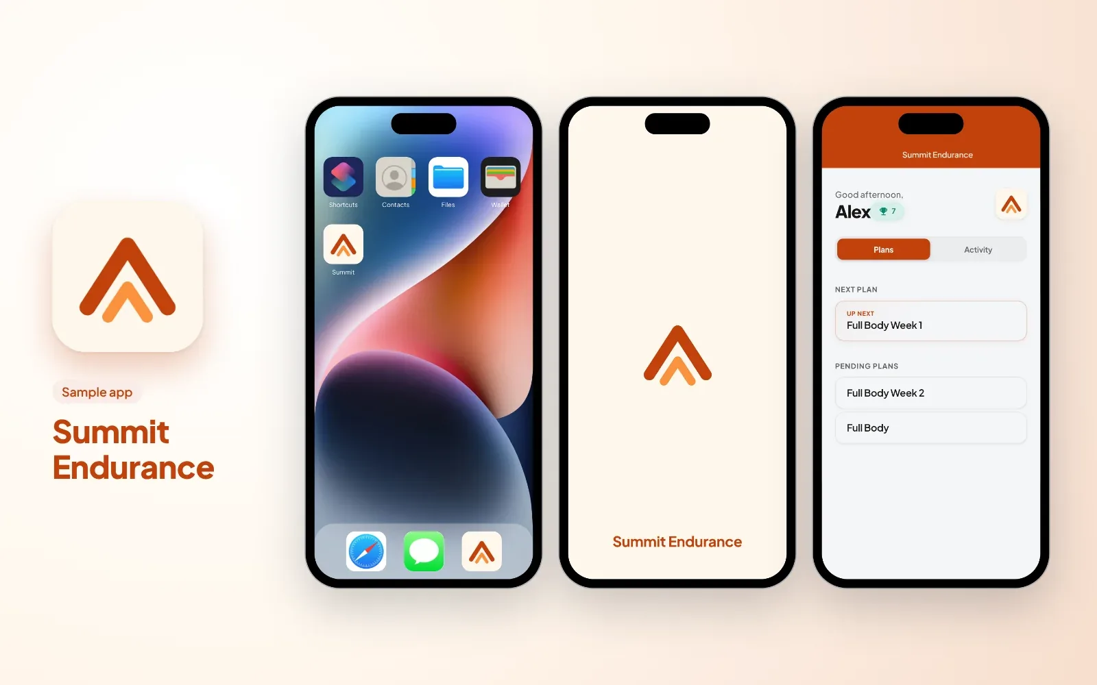 Sample branded app for an endurance coach: the Summit Endurance icon, the app on a phone home screen, its splash screen and the client's plans in its colours